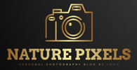 Nature's Portfolio Logo